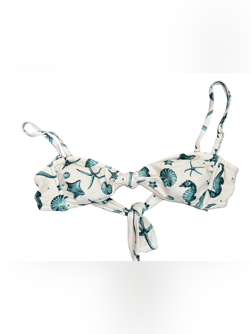 Aqua Bendita x Target Bikini - Picture 3 of 9